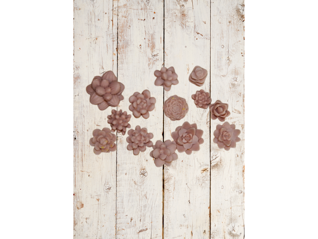 Fondant fleur " Trésors à prix cassé "
